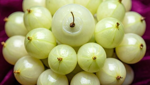 Delicate Pale Green Indian Gooseberries with Tiny Stems, Fresh Amla Fruit Cluster