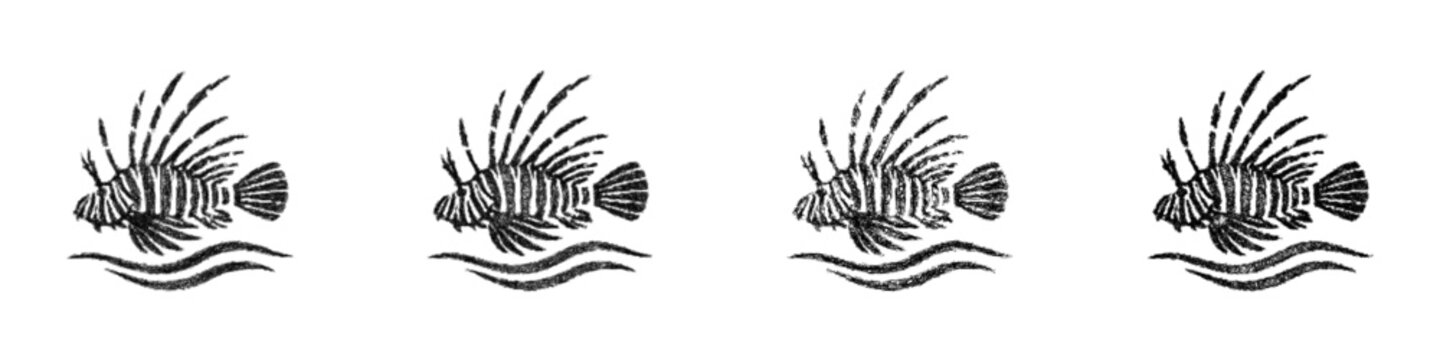 Sketch monochrome lionfish logo design set