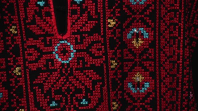 Traditional Palestinian embroidered dress textile detail - Static angle