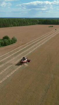 Drone footage of a combine harvester harvesting a ripe wheat field with long rows beside a green forest belt under cloudy sky in the Ural, Russia