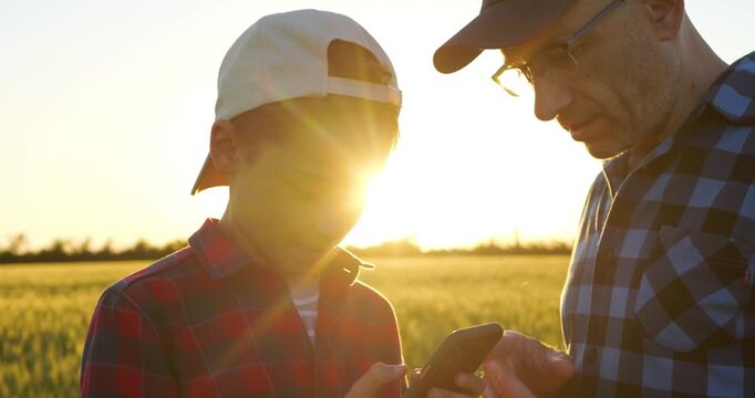 Father and son use smartphone in wheat field at sunset, discussing ideas and sharing knowledge together. Warm countryside scene highlights communication, learning and connection with kid.
