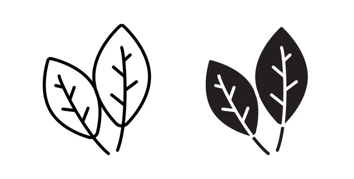 Basil icon flat outline in black