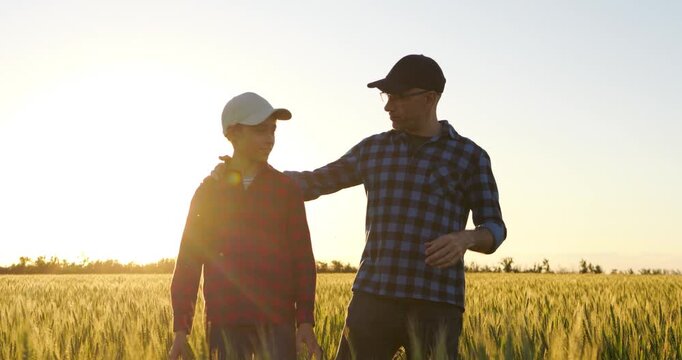 Father and son walking in golden wheat field at sunset. Dad and kid share joyful moments and bond in nature. Beautiful landscape creates warm atmosphere of family connection.