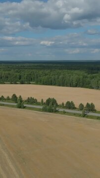 Drone footage of wide agricultural fields with a road along the edge of a dense green forest under a blue sky with clouds, summer countryside in the Ural region, Russia
