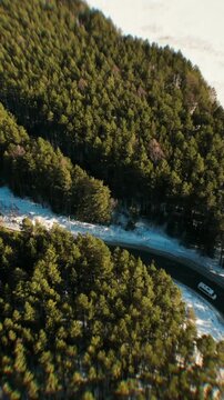 Drone footage of a snow covered conifer forest with a dark road cutting through the landscape in the Ural Mountains, Russia, bright winter daylight