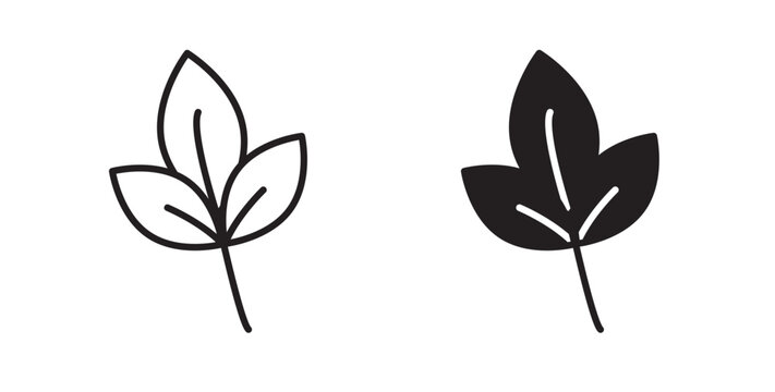 Basil icon flat outline in black