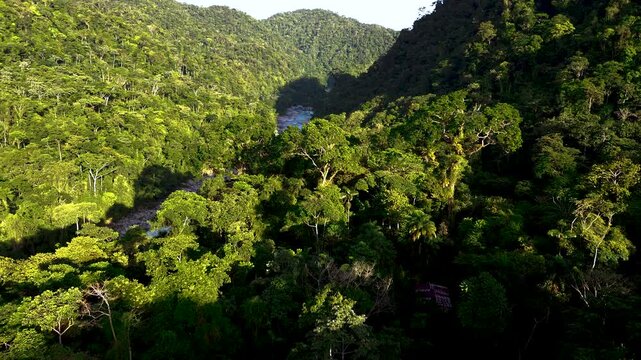 Drone View of Dense Tropical Rainforest Canopy in Ecuador, Green Mountain Valley, River Corridor and Remote Andean Amazon Biodiversity Landscape