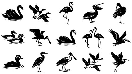 Fototapeta premium Set of black silhouette icons of different wild water birds like swans ducks and cranes in action