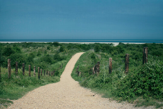 road to the sea