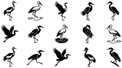 Fototapeta premium Set of black silhouette icons of storks and herons in various poses standing and flying birds