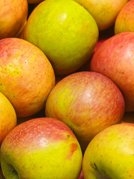Apples in red yellow and green pressed together with glossy speckled skin