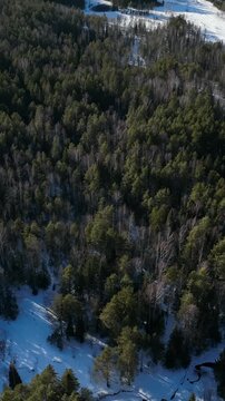 Drone footage of a snow-covered conifer and birch forest with a road in winter sunlight, Ural Mountains, Russia, remote wilderness landscape