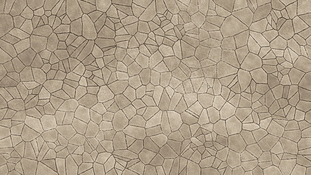 Pale cracked clay mud texture with dried earth plates from above