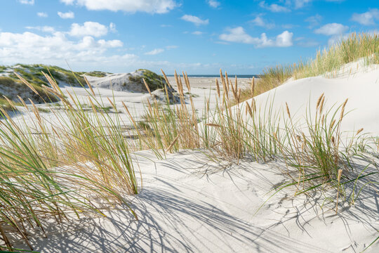 Breiter Nordseestrand mit wei&szlig;en D&uuml;nen und Strandhafer