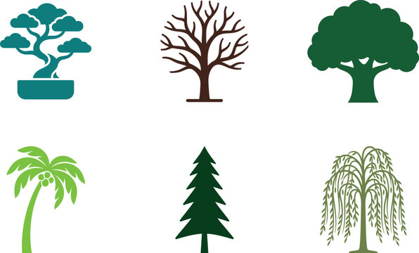 Set of six tree icons including bonsai bare winter oak palm pine evergreen and weeping willow isolated vector graphic collection