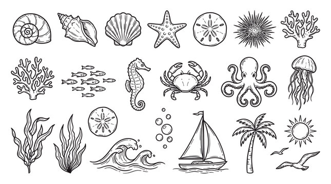 Set of hand drawn marine life icons including sea shells starfish crab octopus and palm tree in a sketch style