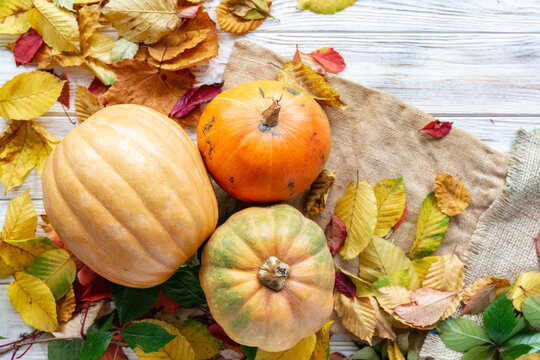 Happy Thanksgiving day concept - traditional holiday food with pumpkins on old wooden
