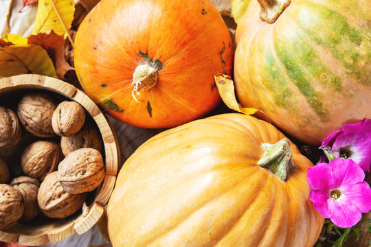 Happy Thanksgiving day concept - traditional holiday food with pumpkins on old wooden