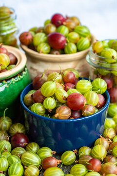 Fresh organic gooseberries berries from eco farm