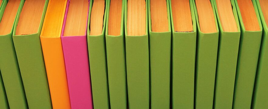 Books with multicolored covers are lined up on the parquet floor.