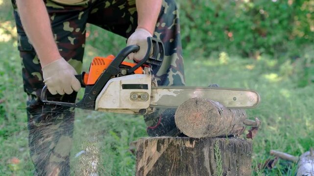 Worker in protective gloves operates a chainsaw to cut a log on a tree stump outdoors, producing sawdust during active wood cutting in a green woodland setting