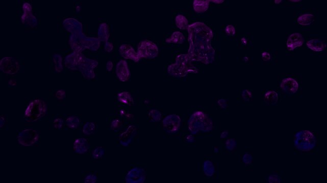 Amorphous bubbles animation floats with glowing purple contours on dark. Smooth organic fluid orbs drift within these amorphous bubbles. Ethereal ambient liquid motion animates the amorphous bubbles.
