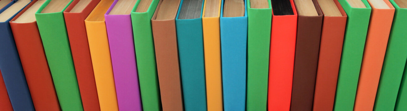 Books with multicolored covers are lined up on the parquet floor.