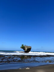 Solitary mushroom shaped rock island in tropical sea © Aiiin