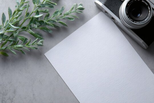 Top view of vintage film camera with blank white paper and green plant branch. Retro photography mockup flat lay. Copy space for text