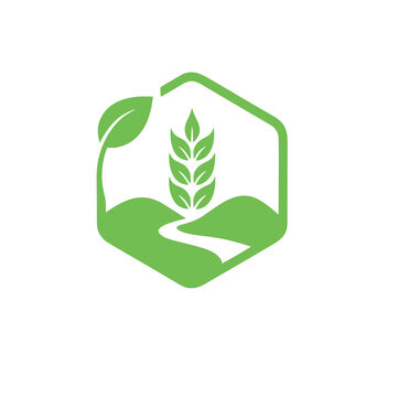 Green wheat stalk logo with hills and path