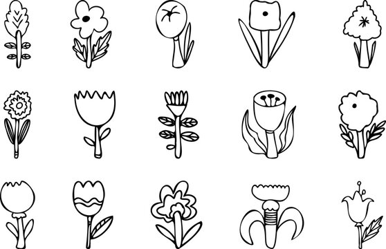 Vector hand-drawn floral set with playful flowers, leaves and botanical doodles.