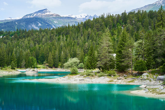 Lake Cauma Landscape, Flims