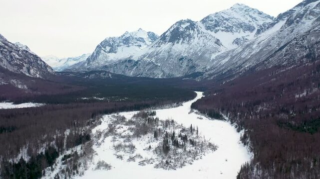 Panoramic Winter Landscape of Forested River Basin and Snow-Capped Mountains