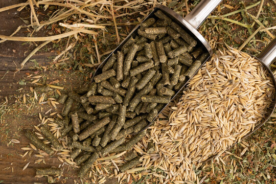 shovel spoons with horse food ingredients