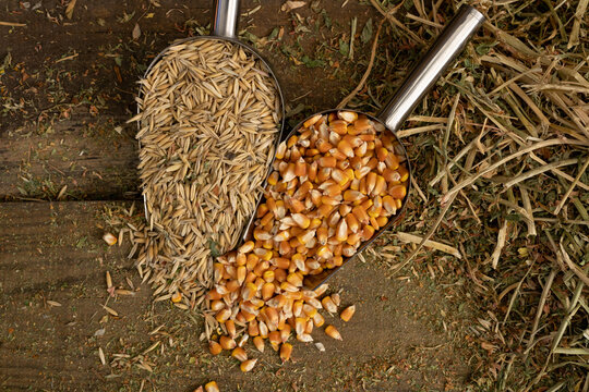 shovel spoons with horse food ingredients