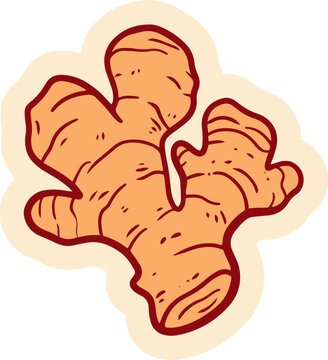 A vibrant, hand-drawn illustration of a ginger root with a warm, organic glow. The image highlights the unique, gnarled texture of the root, perfect for culinary or health-related themes
