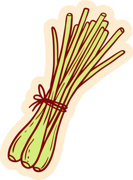 A bunch of fresh lemongrass tied with a twine. This herb is commonly used in Asian cuisine for its citrusy aroma and flavor