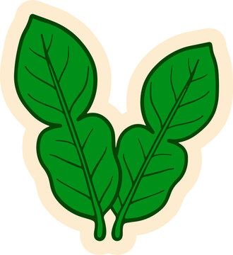 A stylized illustration of two vibrant green leaves. The leaves are depicted with clear veins and a slightly curved shape, set against a creamy outline