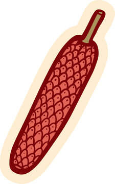 A graphic illustration of a single, long, red, seed-covered object with a brown stem