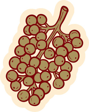 A bunch of stylized berries with a rustic appeal. The berries are a muted brown color, clustered together on a stem with a light brown outline.