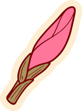 A beautiful closed pink flower bud with green leaves and brown stem, drawn in a cartoonish style with a cream outline