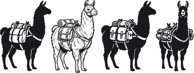 Fototapeta premium Pack Lama and Alpaca Silhouette Vector Set Featuring Working Animals Carrying Camping Gear Cargo Backpacks and Saddles for Mountain Trekking Designs