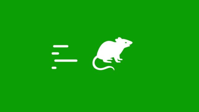 Minimalist white rat icon running fast with speed lines on green screen chroma key background.