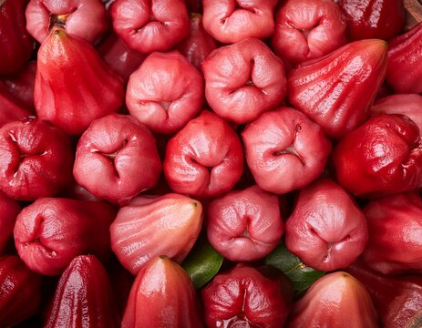 fresh rose apples background close up n tropical wax apple fruit texture