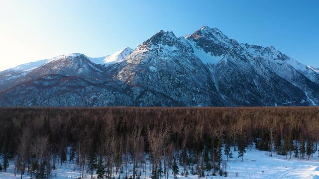 A smooth aerial drone flying backwards and low over a dense, autumn-tinted forest valley away from a towering, snow-capped mountain range under a clear blue sky.