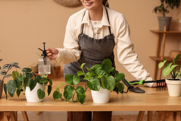 Urban gardening and plant care, woman with spray bottle tending to indoor houseplants on wooden table for sustainable home hobby and wellness lifestyle © Pixel-Shot