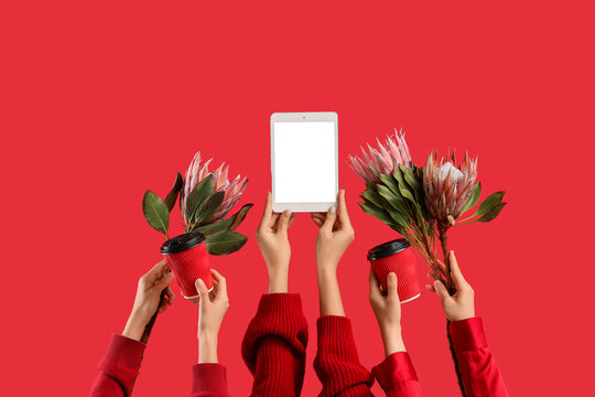 Digital marketing and social media campaign, hands holding tablet with blank screen and protea flowers on red background for creative advertising content