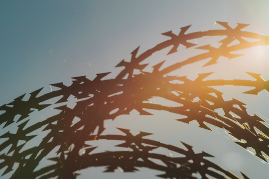 Abstract shadow of leafy foliage cast across a pale surface with warm sunlight, strong diagonal shapes, and soft lens flare in a nature inspired composition