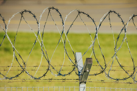 Coils of barbed wire layered across a rural fence with weathered posts, green field, blurred road, and muted landscape beyond, security barrier detail