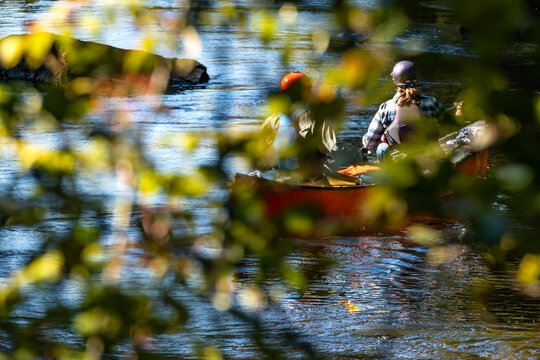 A View Through the Blurry Leaves of a Tree of Two People in Helmets in a Red Canoe Heading Towards a Rapid